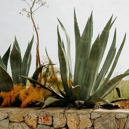 Eco Farm Boutique Κατάλυμα σε φάρμα *