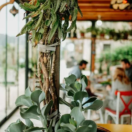 Eco Farm Boutique Çiftlik konaklama Turgutreis