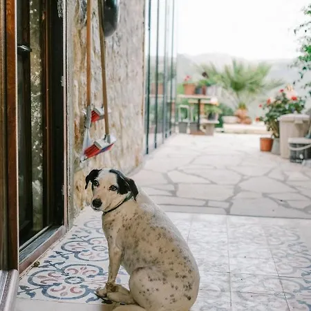 Eco Farm Boutique Çiftlik konaklama Turgutreis