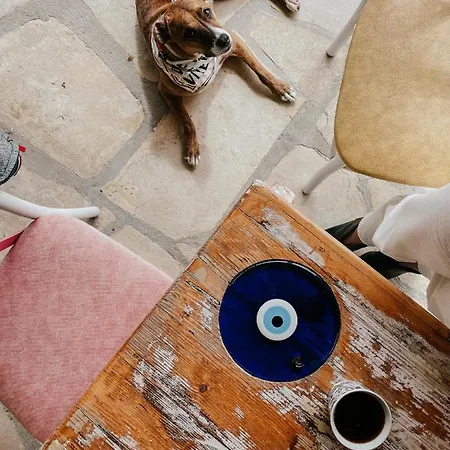 Eco Farm Boutique Çiftlik konaklama