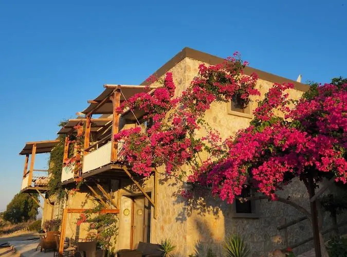 Eco Farm Boutique * Turgutreis