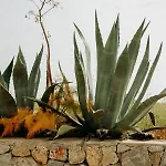 Eco Farm Boutique Farm stay *