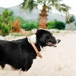 Eco Farm Boutique Farm stay Turgutreis