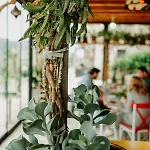 Eco Farm Boutique Farm stay Turgutreis