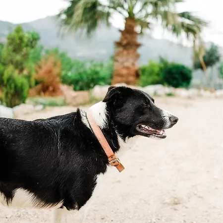 Eco Farm Boutique Κατάλυμα σε φάρμα Turgutreis