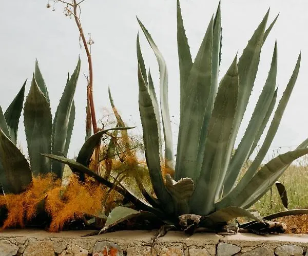 Eco Farm Boutique Farmház *