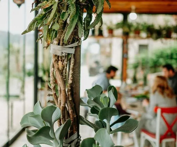 Eco Farm Boutique Farma Turgutreis