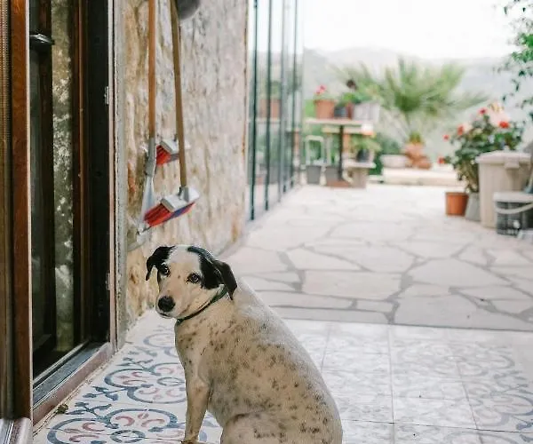 Eco Farm Boutique Farma Turgutreis