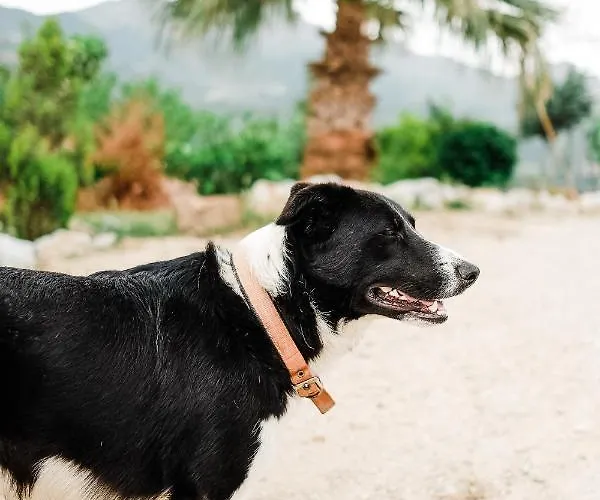 Eco Farm Boutique ファームステイ トゥルグトレイス